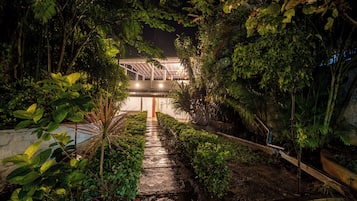 A pathway leading to a building with a glass roof, surrounded by dense foliage.