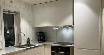 Nordlys Utsikten Nydelige Berg