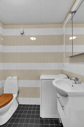 Secador de pelo, toallas