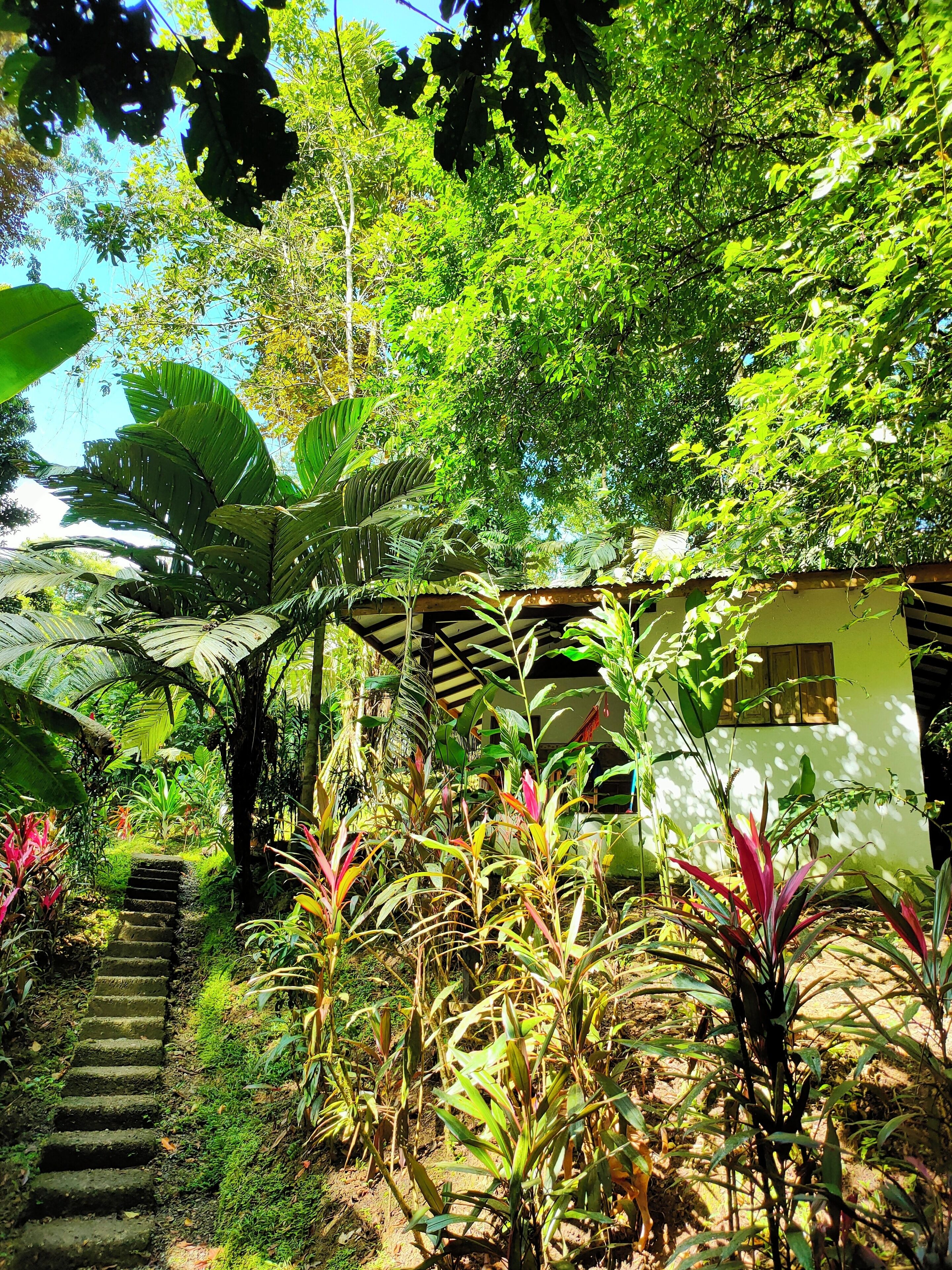 Overnatningsstedets område