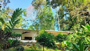 Una casa rodeada de abundante follaje y árboles.