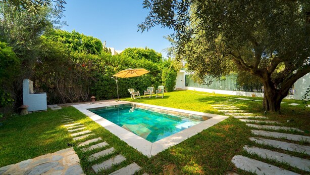 A rectangular swimming pool with a stone border, surrounded by a well-maintained lawn and a tree. - Residence Jannet 1 Luxury Seaside 3 Bedrooms (Hammamet)