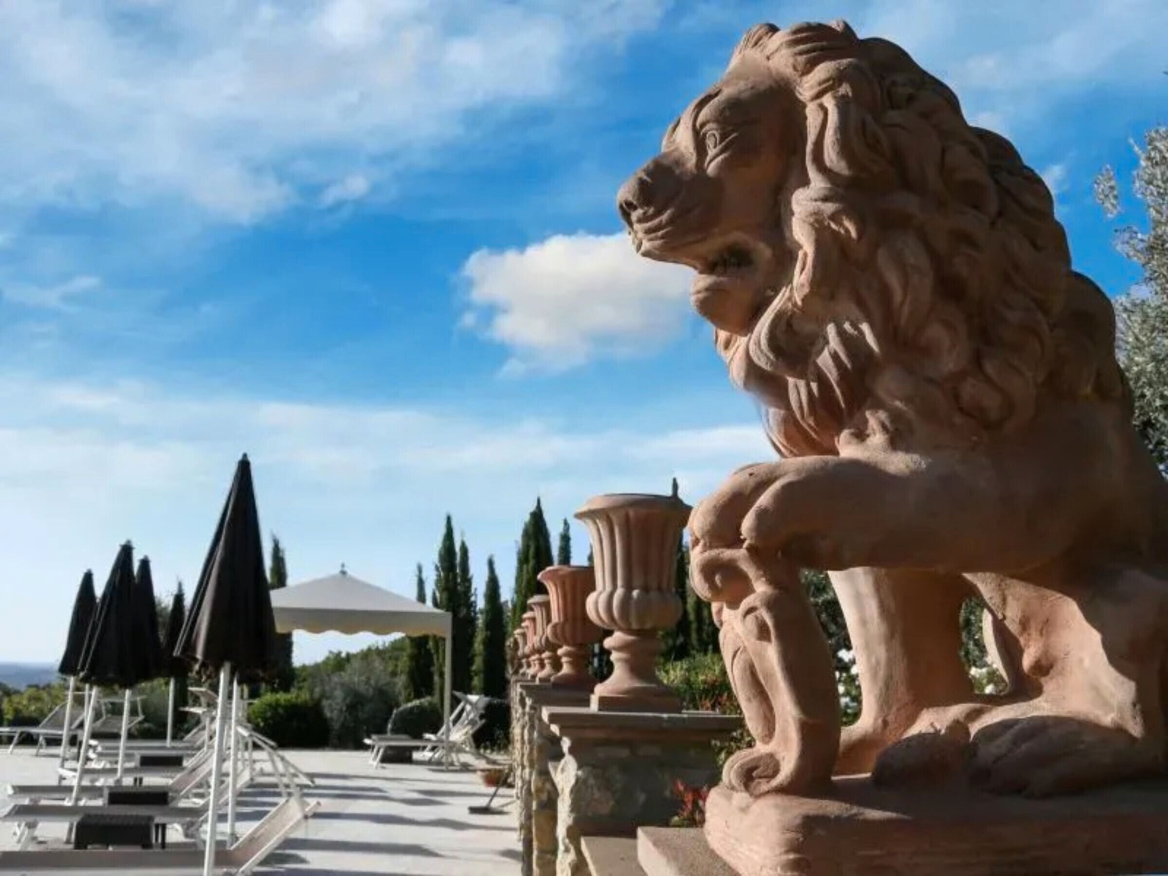 Overnattingsstedets uteområder