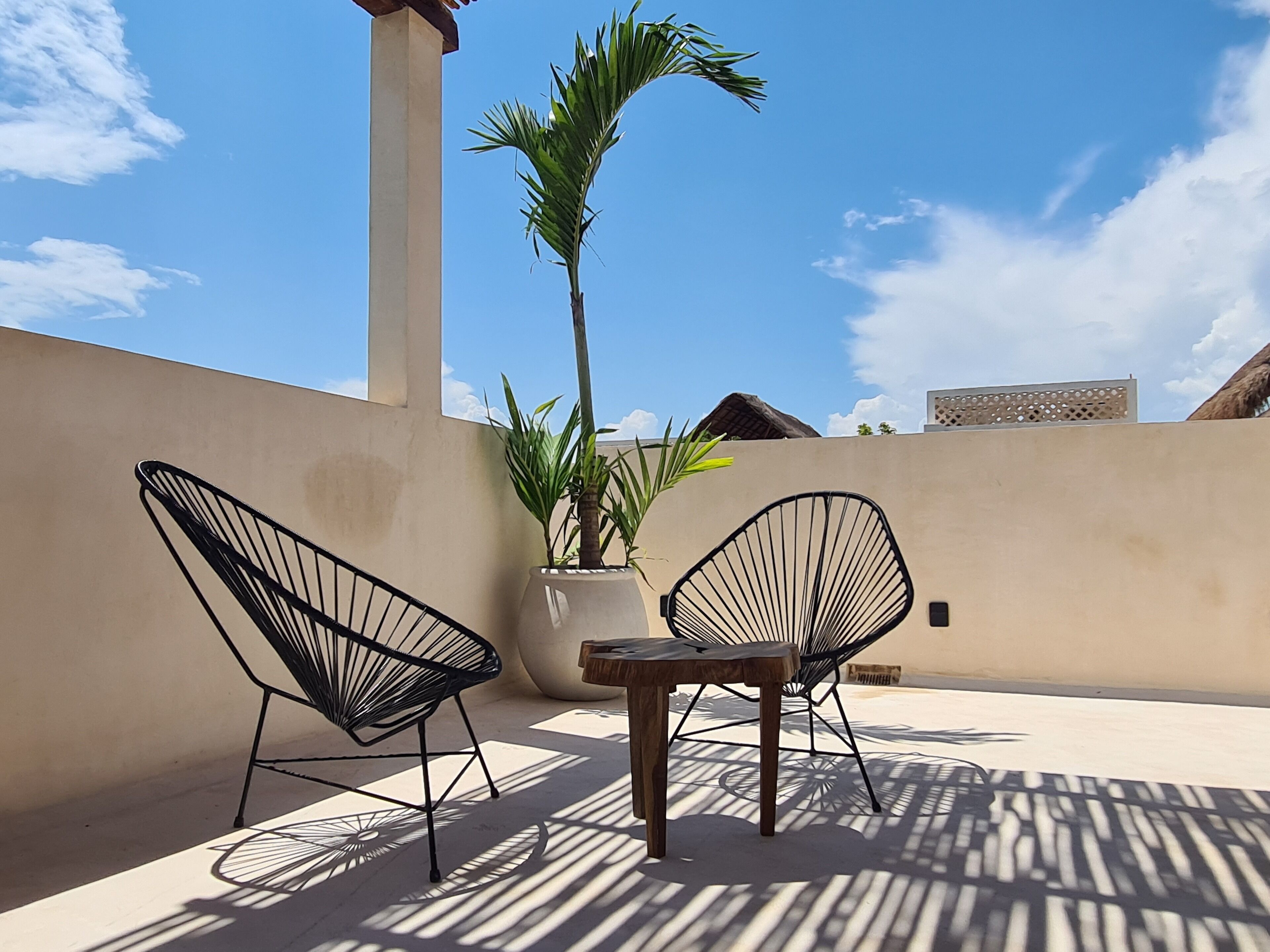 A patio with two black wire chairs, a small wooden table, and a potted palm tree.