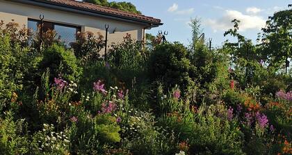 Meublé tourisme 3* à 50 m de la voie Verte "Passa Païs" - animaux acceptés