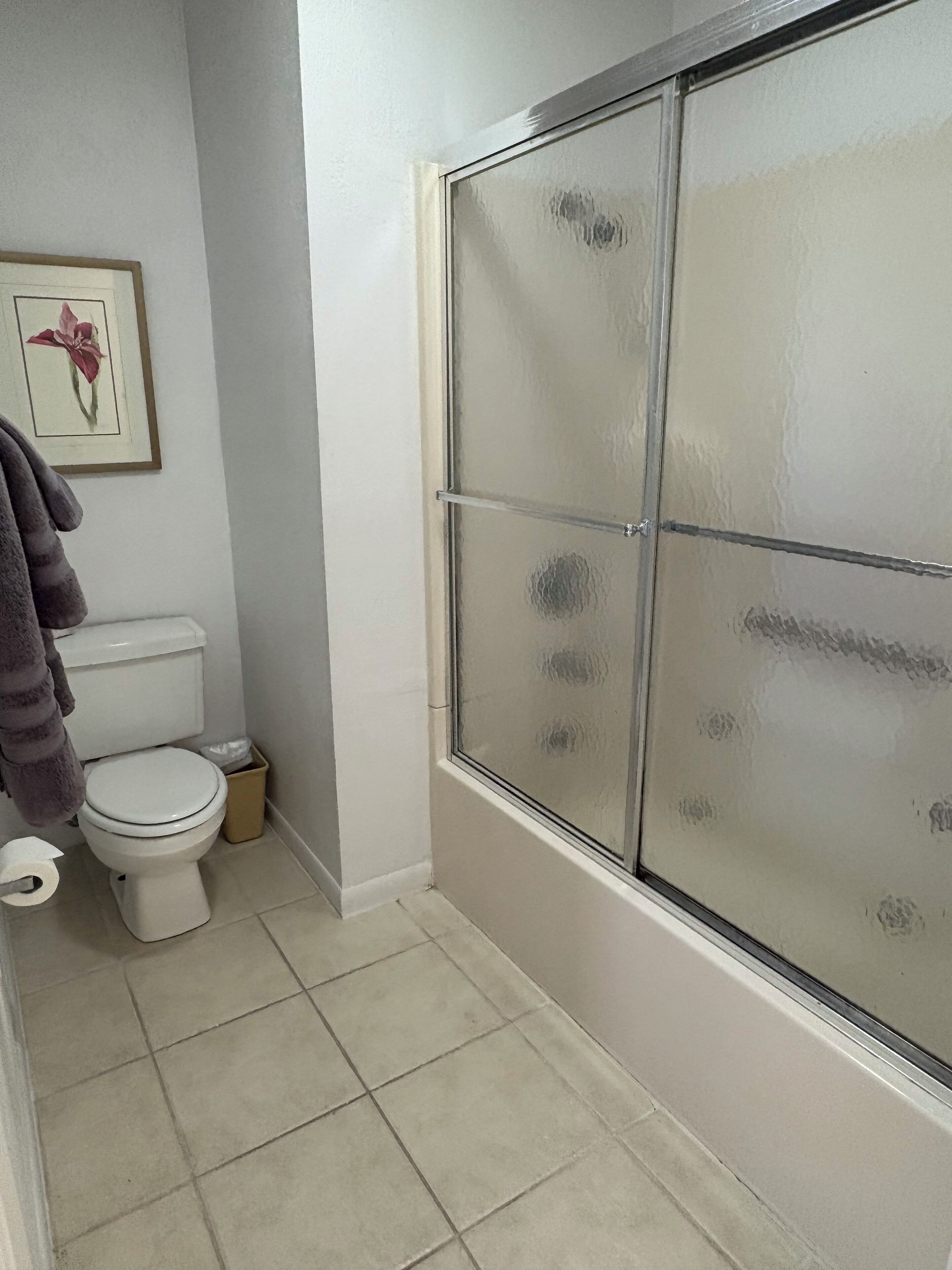 Tina de hidromasaje, secadora de cabello, toallas, papel de baño 