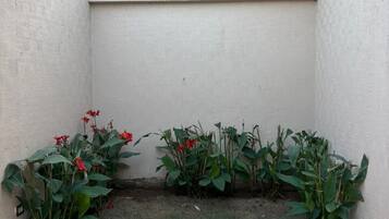 Villa de lujo | Vistas al jardín