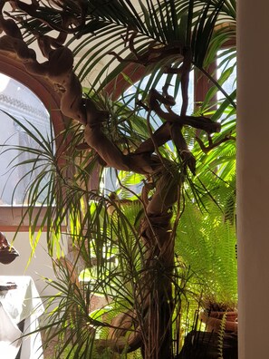 Interior - B&B Domuseo (Quartucciu)