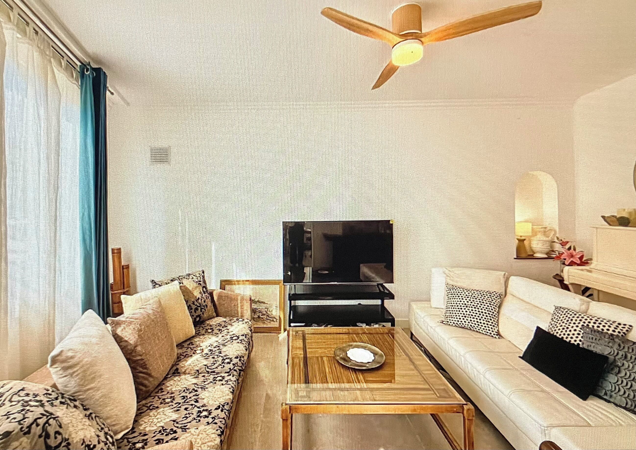 Un salon avec un canapé, une table basse, un téléviseur et un ventilateur de plafond.