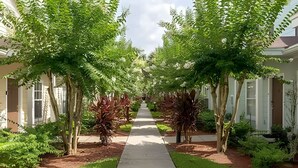 Un sendero bordeado por abundante vegetación y edificios con fachadas blancas y contraventanas.