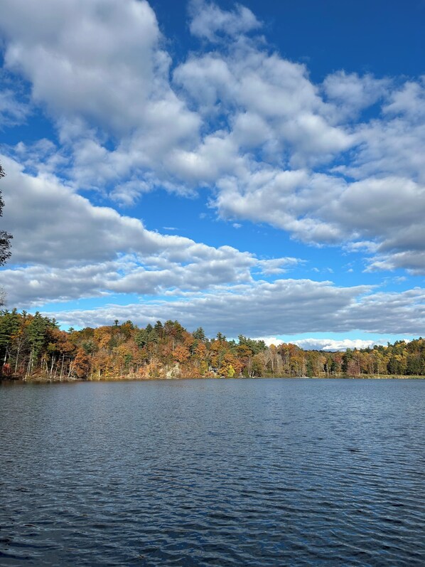 Miscellaneous - Arcady on the Lake, an Enchanting 3-bedroom house with AC in Kingston (Kingston)