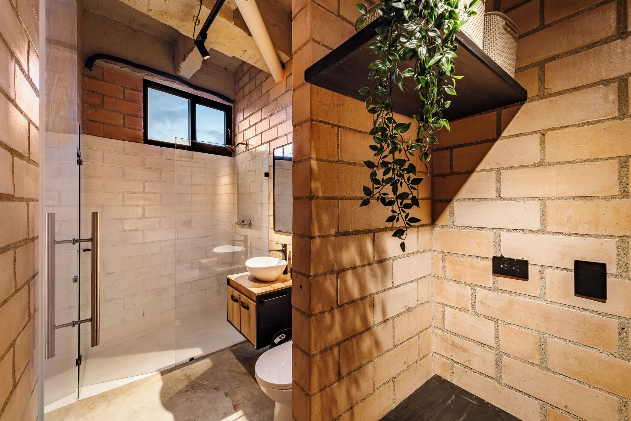 A bathroom with a glass shower enclosure, a sink with a vessel basin, and a hanging plant.