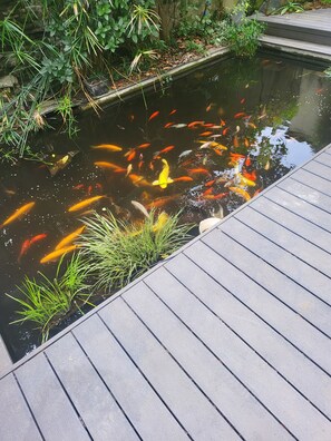 المنطقة المحيطة بالمنشأة