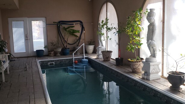 Piscina interna com água cristalina, cercada por plantas em vasos e uma estátua.