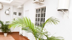 Een nette, witte ruimte met een potpalmpje, een boiler en een radiator aan de muur.