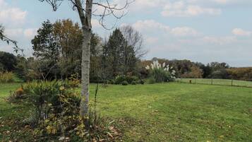 Áreas de la propiedad