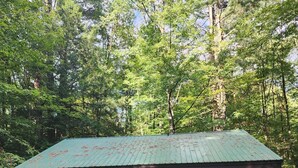 Un chalet rustique avec un toit végétalisé, entouré d’une forêt dense.