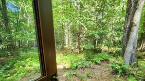 Une vue à travers une porte ouverte, donnant sur une zone boisée, caractérisée par une végétation luxuriante et de nombreux arbres.