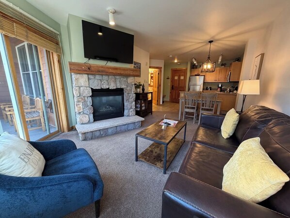 TV, fireplace, books