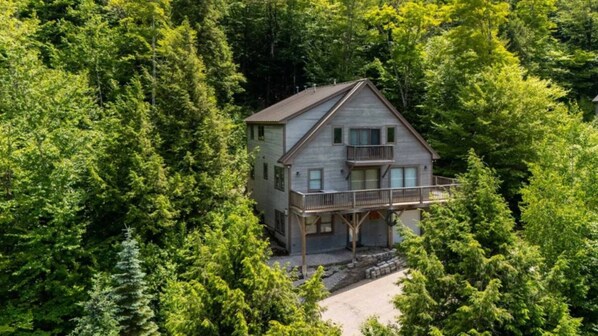 Une cabane à deux étages, entourée d’une forêt dense.