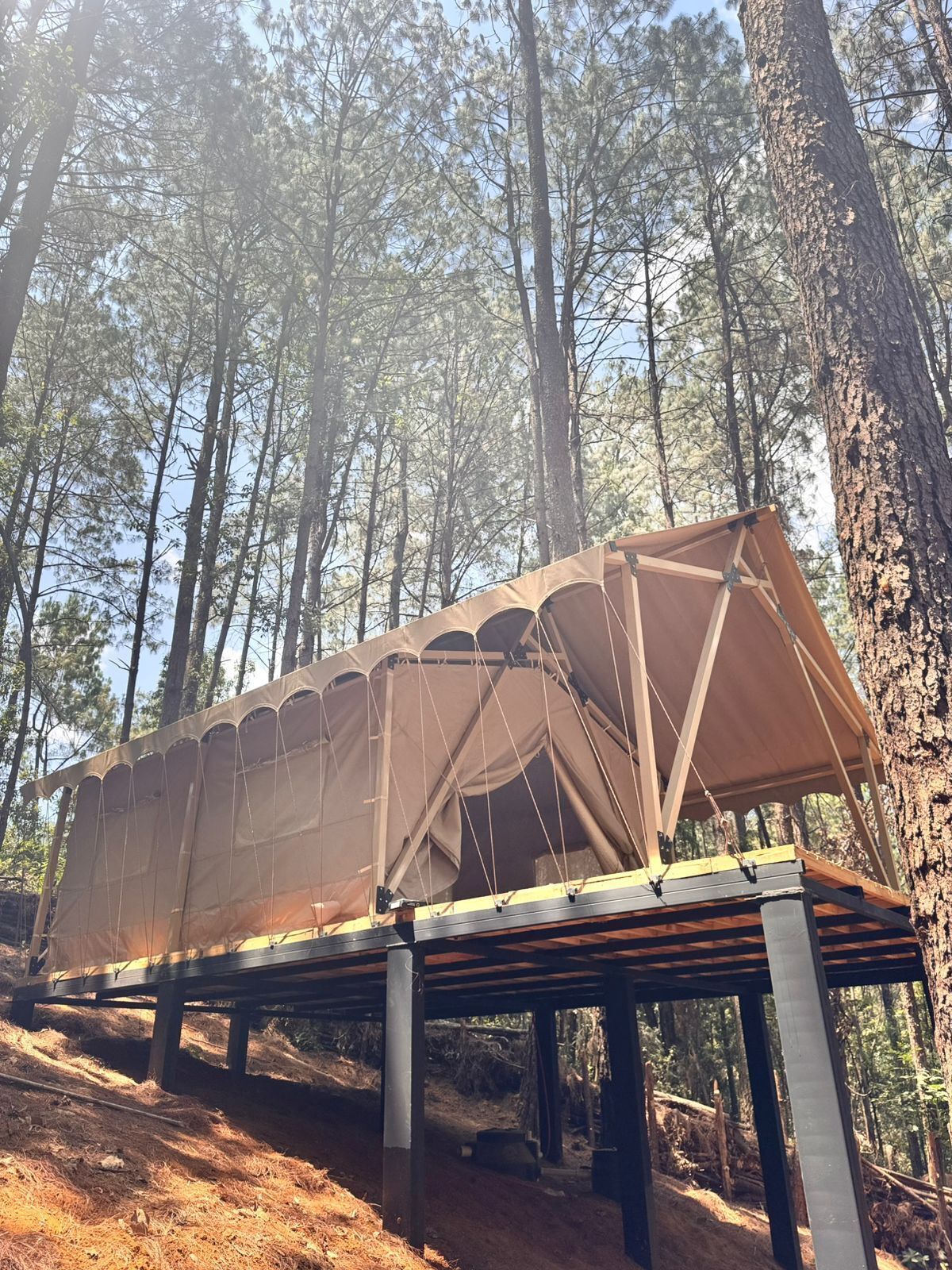 A tent-like structure with a metal frame and canvas walls, set up in a forested area with tall trees.