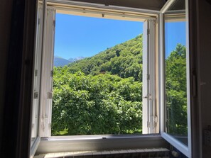 Une fenêtre donnant sur une forêt verdoyante et luxuriante, avec des montagnes qui se dessinent à l’horizon.