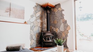 A stone wall with a fireplace, a small plant, and a view of an outdoor area.