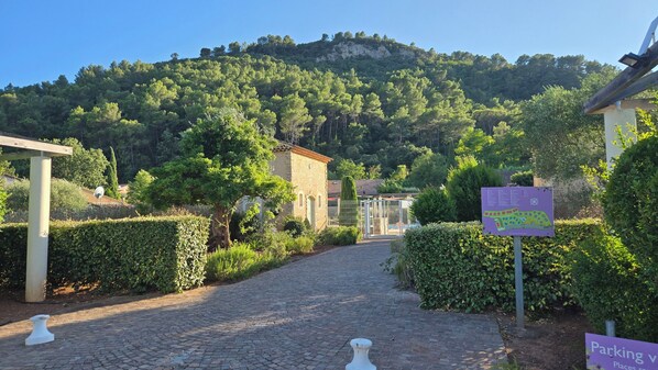 المنطقة المحيطة بالمنشأة