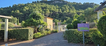 The yellow house