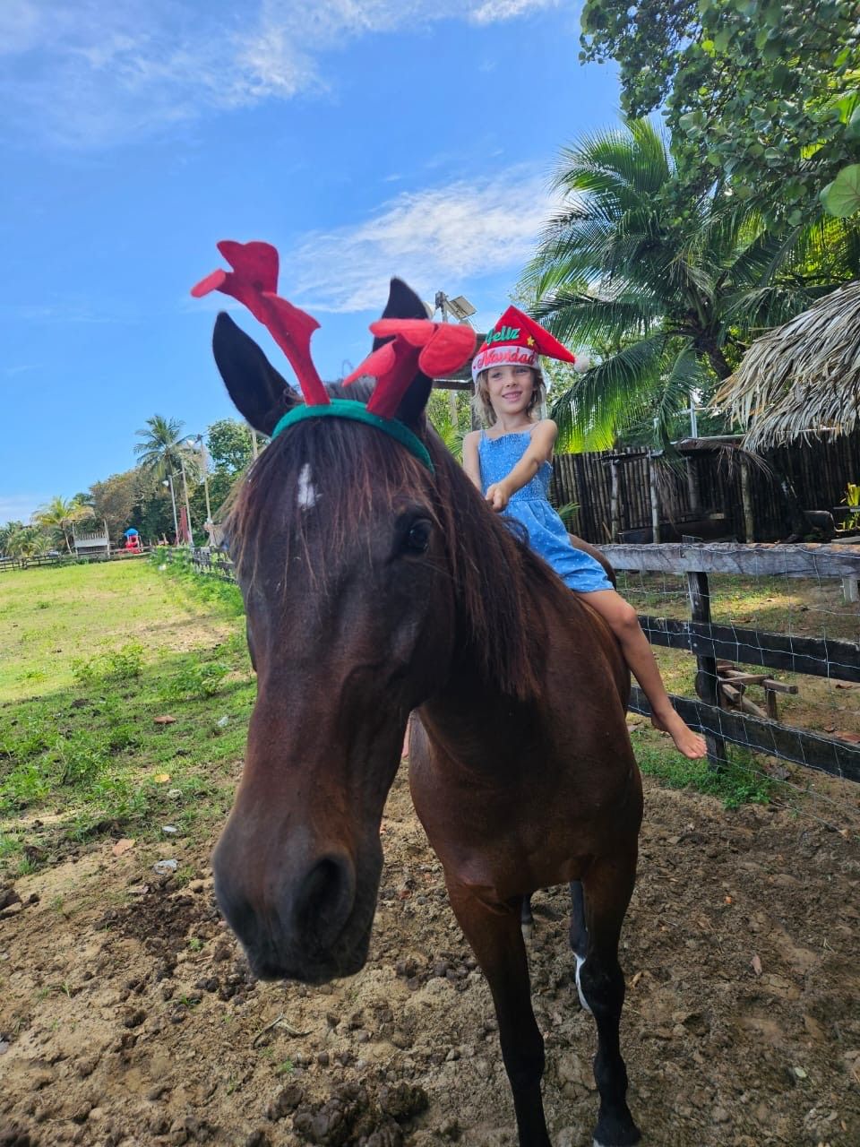 Horse riding