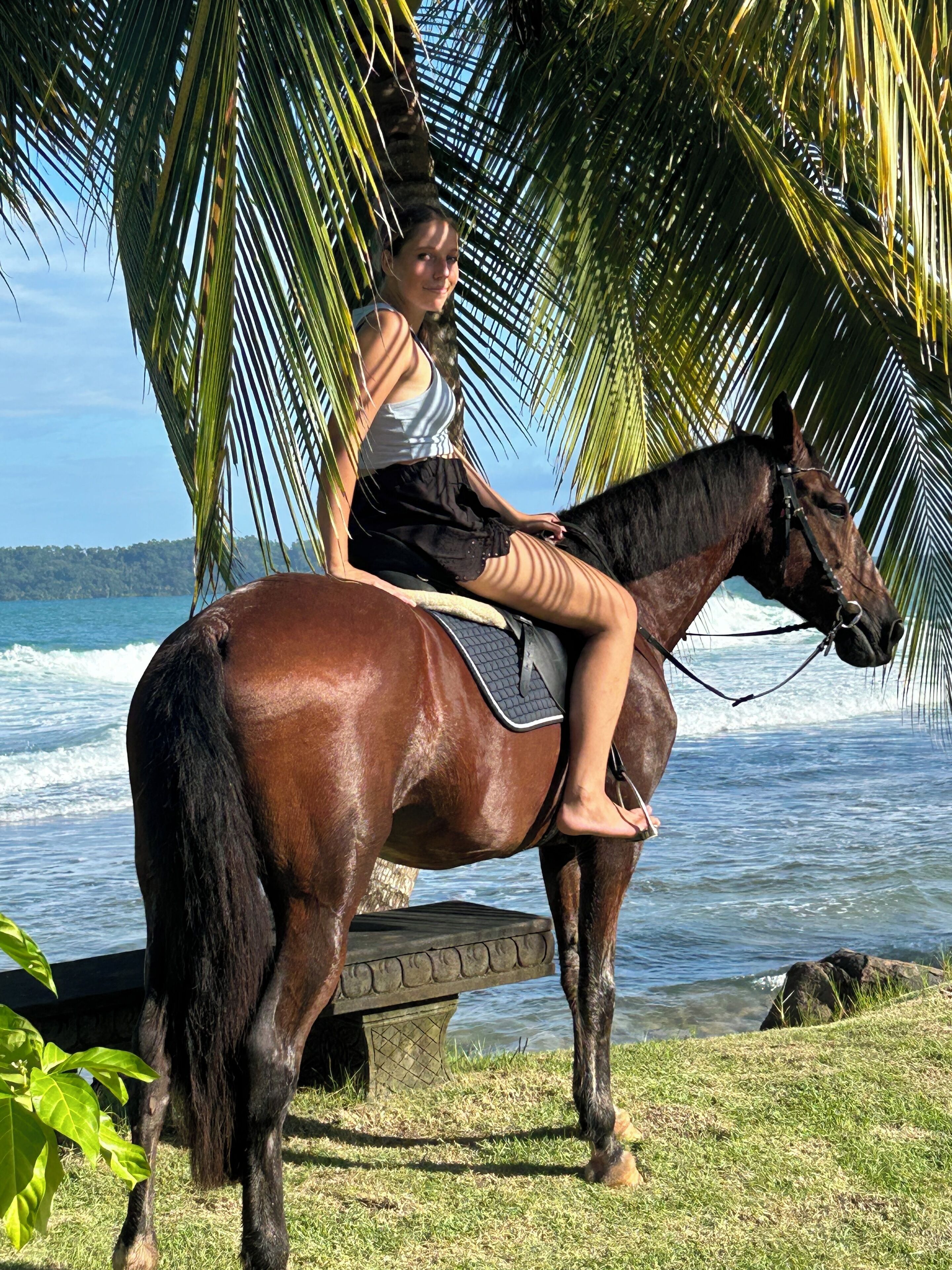 Horseback riding