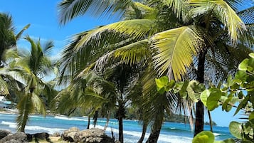 Uitzicht op strand/zee