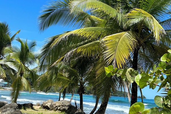 Vue sur la plage/l’océan