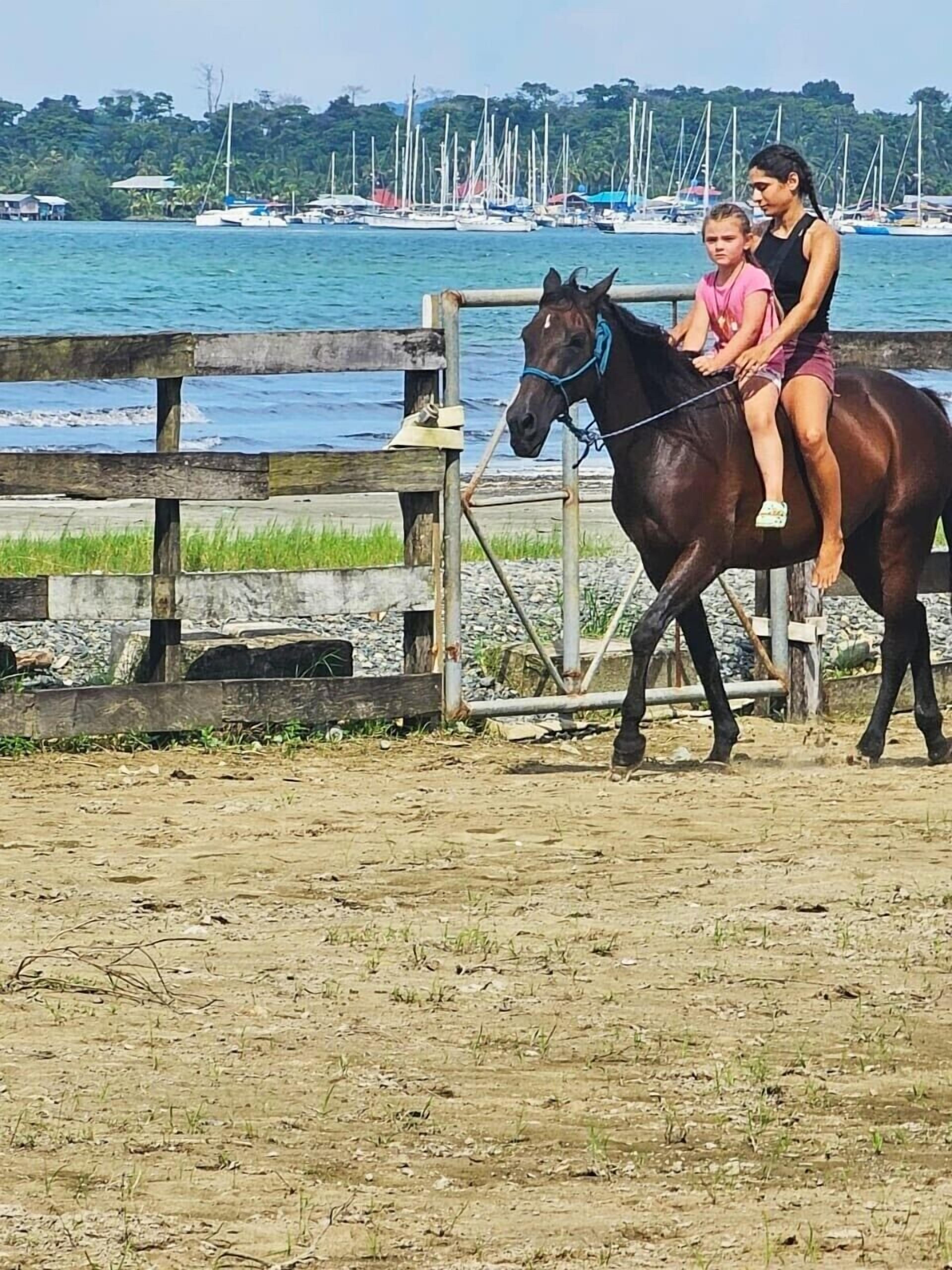 Un caballo con dos jinetes en un entorno costero, con una cerca de madera y barcos al fondo.