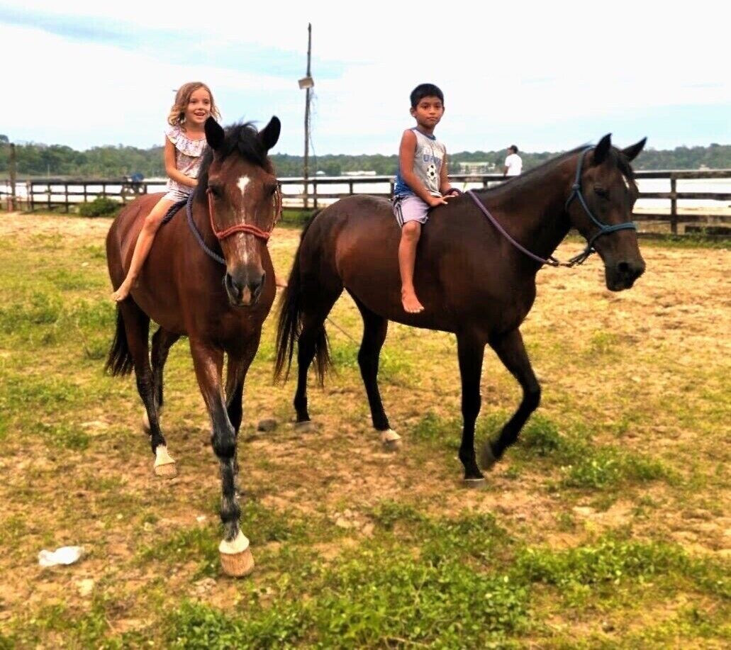 Horseback riding