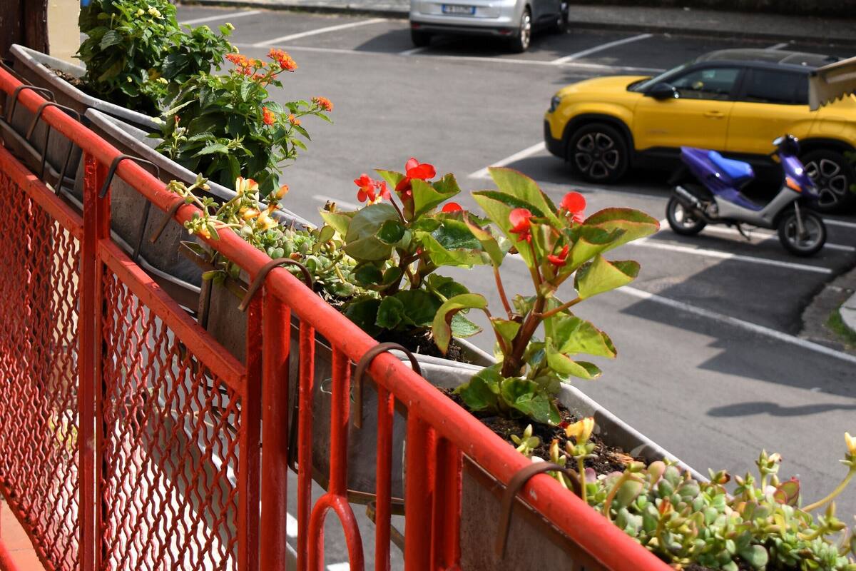 Habitación doble superior, vistas al lago, sobre el agua | Terraza o patio