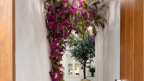 A hallway with a checkered floor, a wooden door, and a potted plant with purple flowers. - Genteel Home Patrocinio VI (Cadiz)
