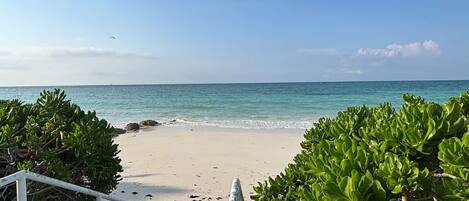 Sun loungers, beach towels