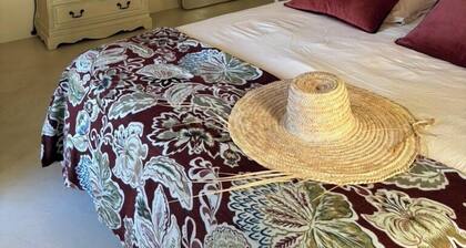 Le Mas des vignes en Drome provençale