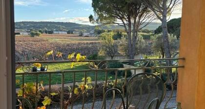 Le Mas des vignes en Drome provençale