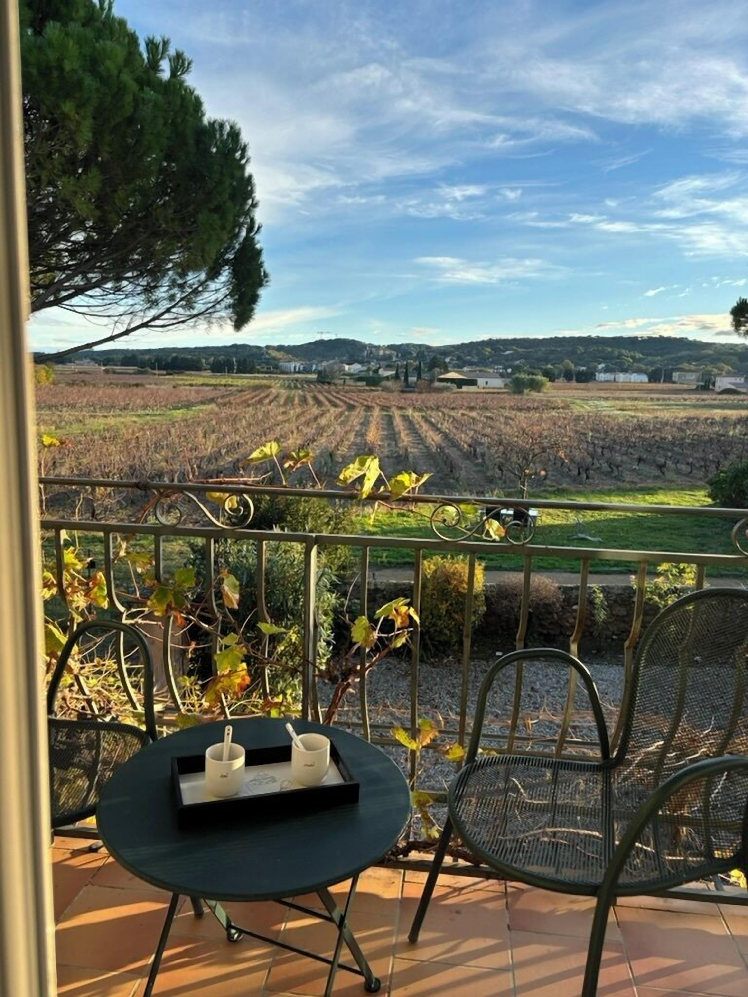 Deluxe tweepersoonskamer, uitzicht op wijngaard | Gratis wifi