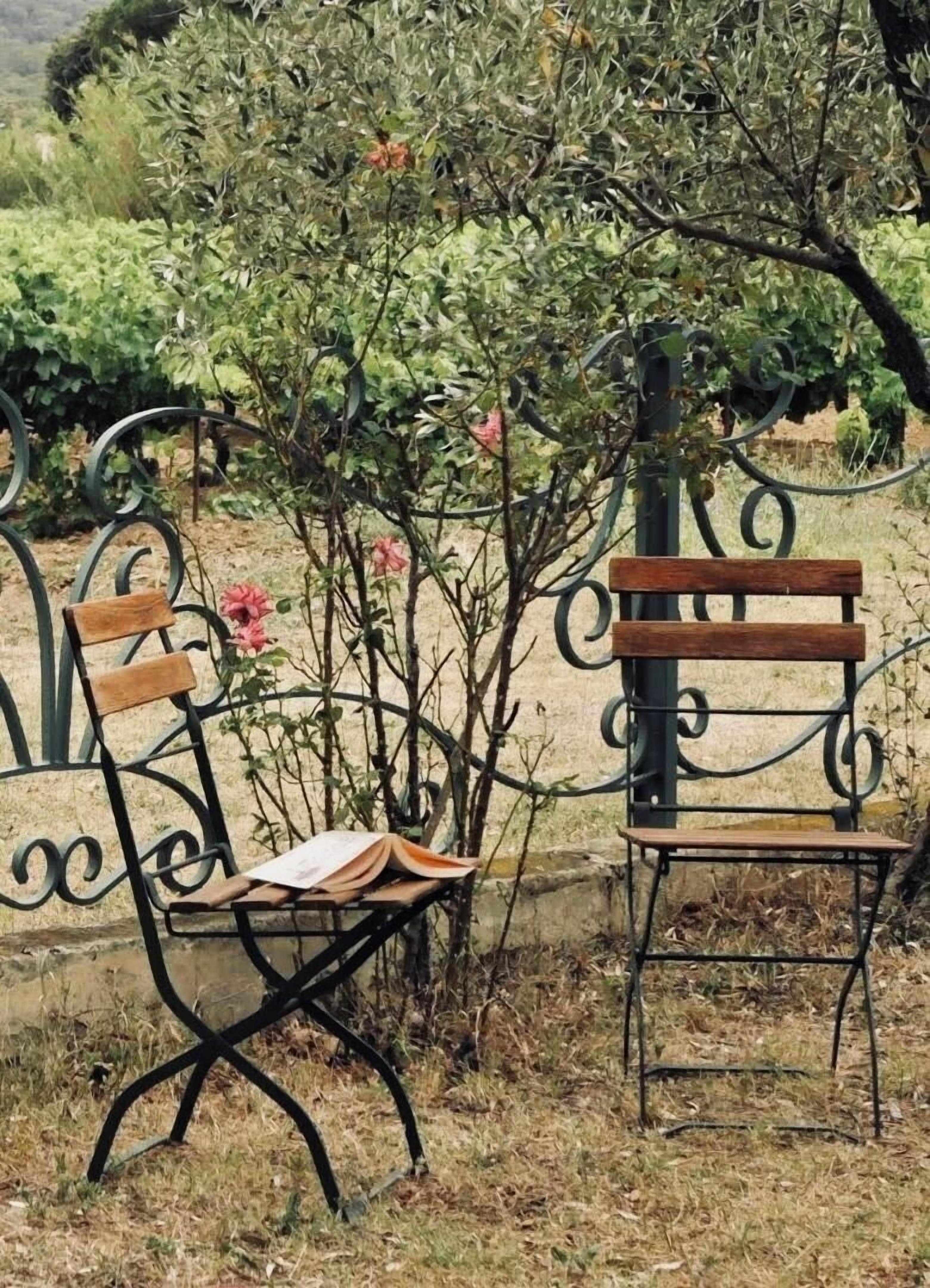 A bench with a metal frame and wooden slats, positioned in a garden with greenery and a tree.
