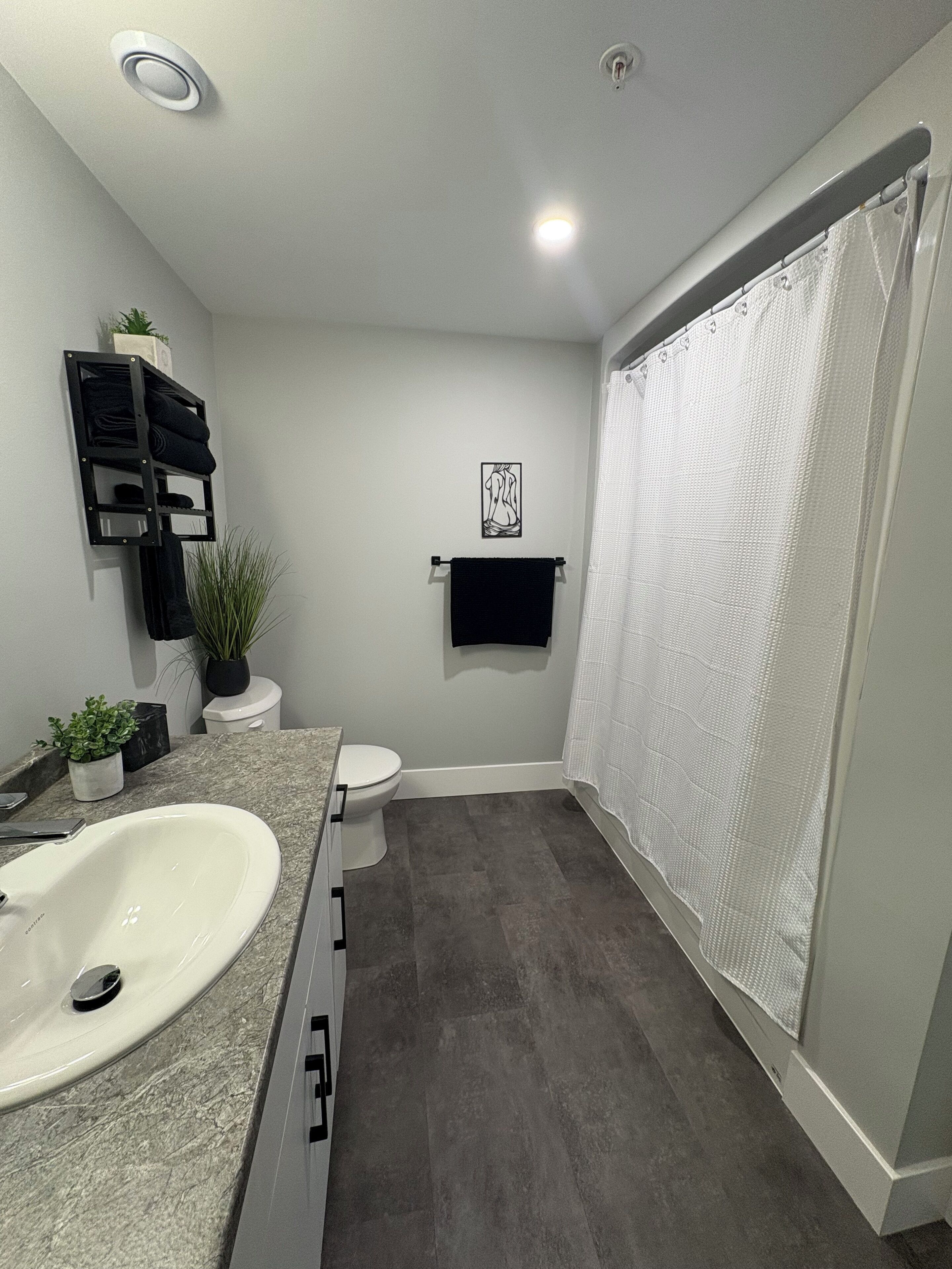 Hair dryer, towels, soap, toilet paper