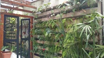 Economy Suite | Property grounds