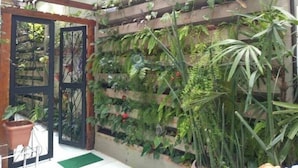 A vertical garden with various plants, a wooden door, and a green mat on the floor. - WeStay Budget - Unidade 4 (São Paulo)