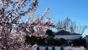 A parking lot with cherry blossom trees in the foreground and a traditional building in the background. - Cortijo Huerta Galindo (Alanís)