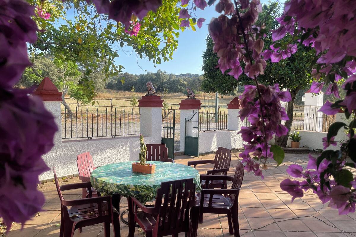 Um pátio externo com mesa redonda e cadeiras, rodeado por flores roxas e vegetação.