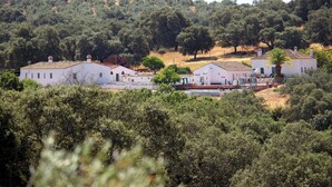 A white building with a red roof, surrounded by dense green trees and hills in the background. - Cortijo Huerta Galindo (Alanís)