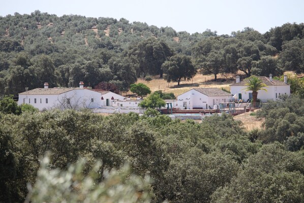 المنشأة من الخارج