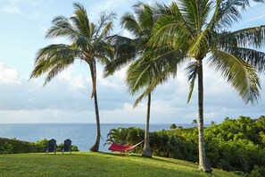 施設からの眺望